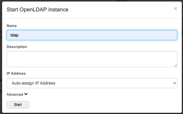 start plugin instance